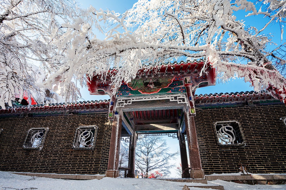 Winter half-price offer at Laoshan Mountain! ❄️ 

From today through Feb 28, 2026, visitors who arrived in Qingdao within the past 7 days can get 50% off admission with their train or flight ticket and ID. 

Discover the quiet charm of a Laoshan winter.