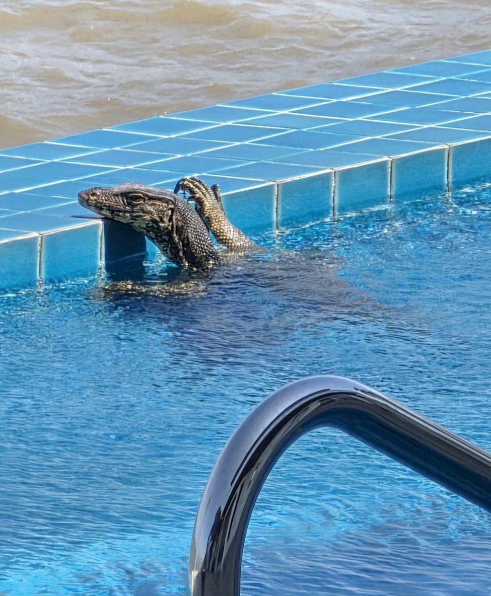 S Tominaga (Aka Dr Craig Wright) tweet media