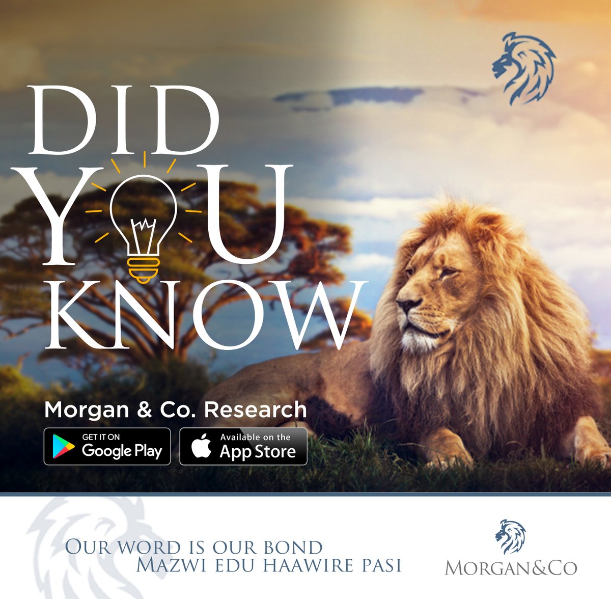 Morgan&Co tweet media