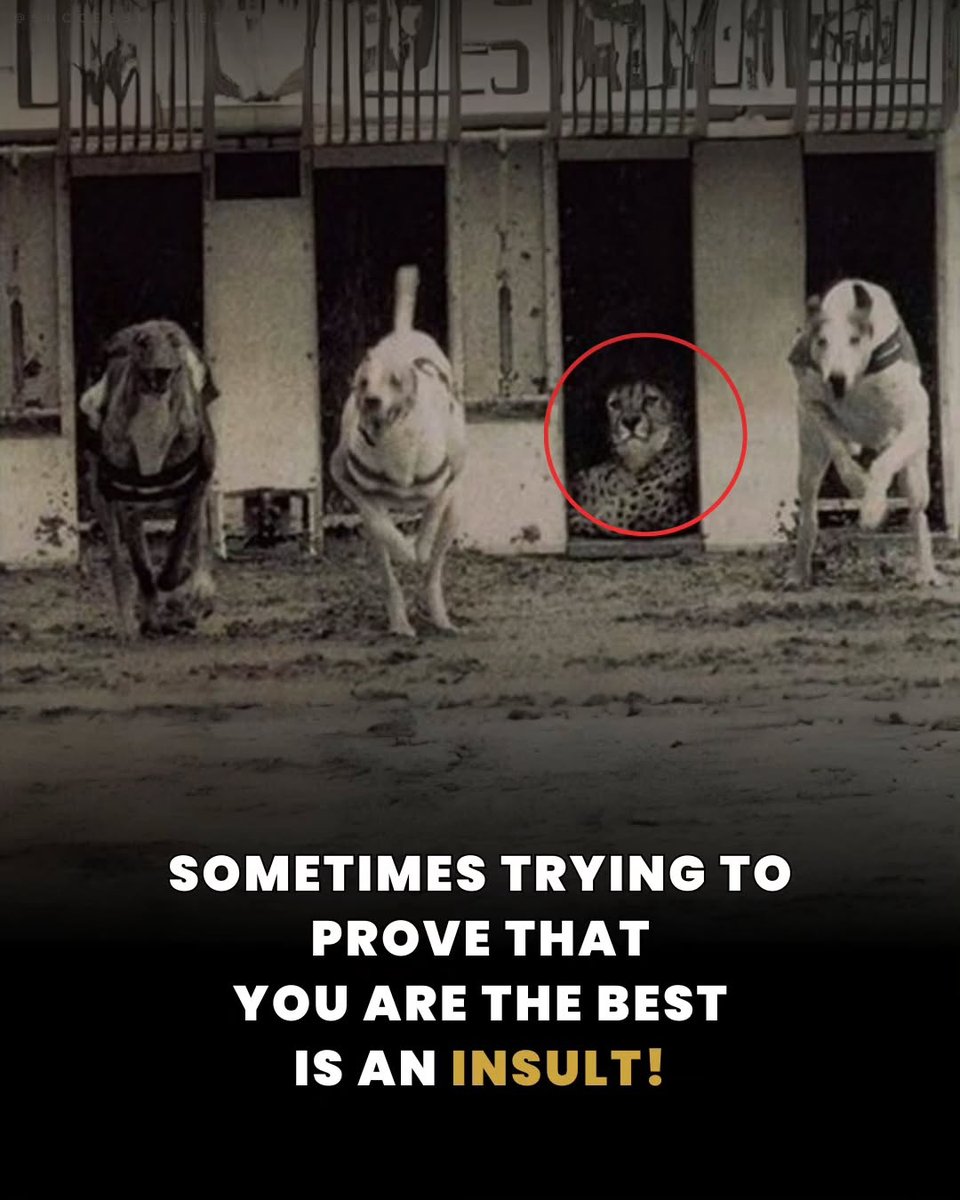 HoliHappiness's tweet image. Words of reflection that will impact you 1%.