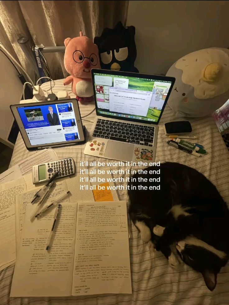 femmenote's tweet image. 