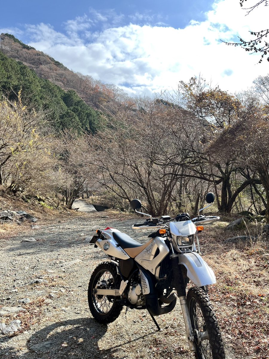 大江 フミト tweet media