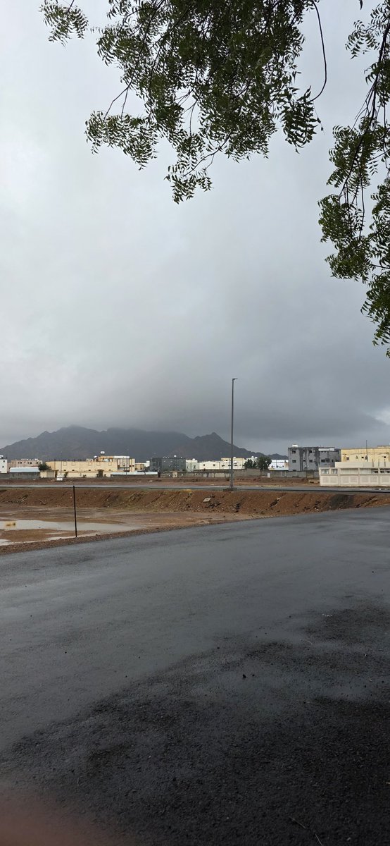 saud98769876's tweet photo. أجواء #خيبر_الشماليه 
صباح اليوم  #الثلاثاء. الموافق 18/6/1447
#المدينة_المنورة https://t.co/WhtavTD8cG