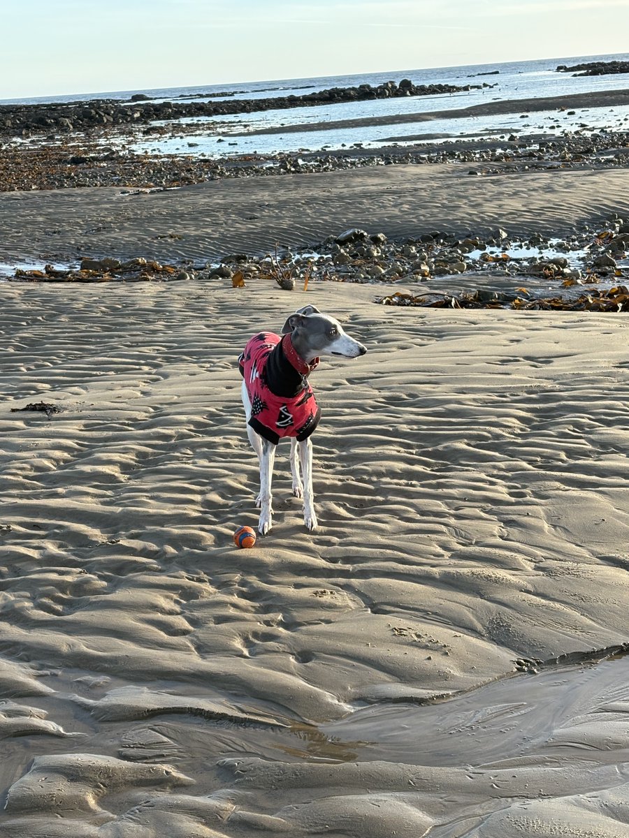 Miss Underscore tweet media