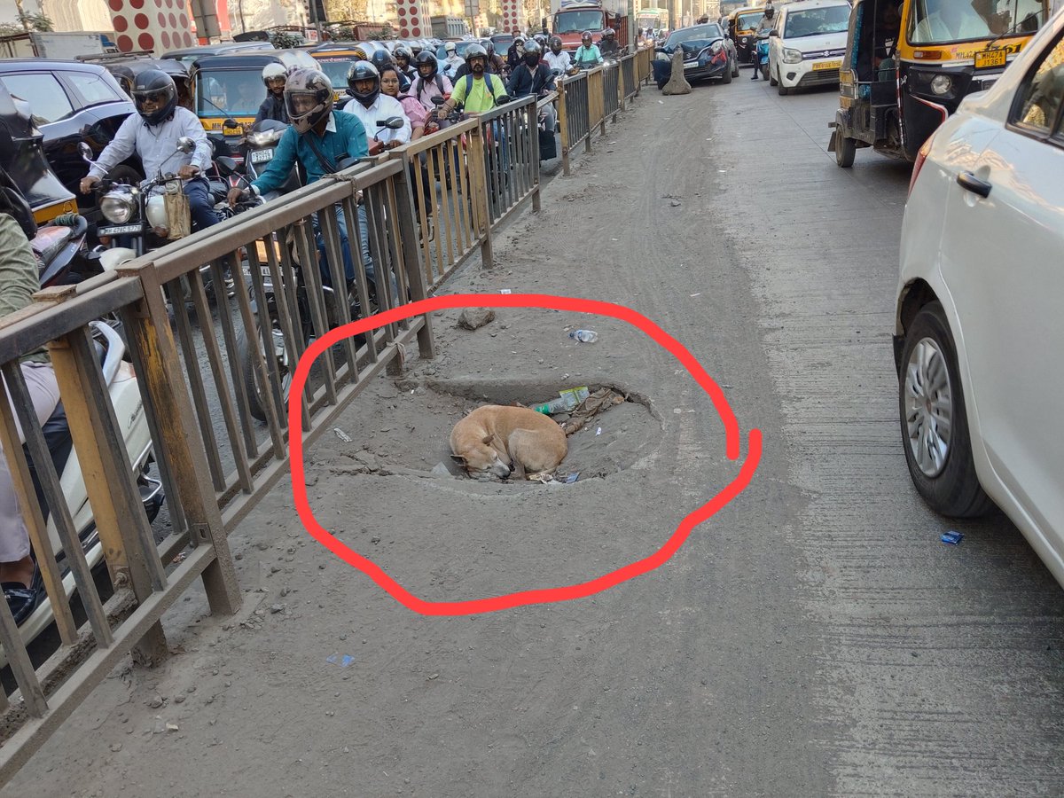 Atulkvaghasiya's tweet photo. मीरा रोड ईस्ट ठाकुर मॉल के सामने काफी चैंबर्स का काम है अधूरा बार-बार  होता है इसमें एक्सीडेंट गटर है गहरी कभी बड़ा हादसा हो सकता है जिसको जल्द से जल्द बनाया जाए @mbmc @nitin_gadkari @mybmc @CMOMaharashtra @MumbaiPolice @DarshanSoniCRPC @burkul_sandeep @TV9Marathi @tv9gujarati https://t.co/n3SNb8Y7Q2
