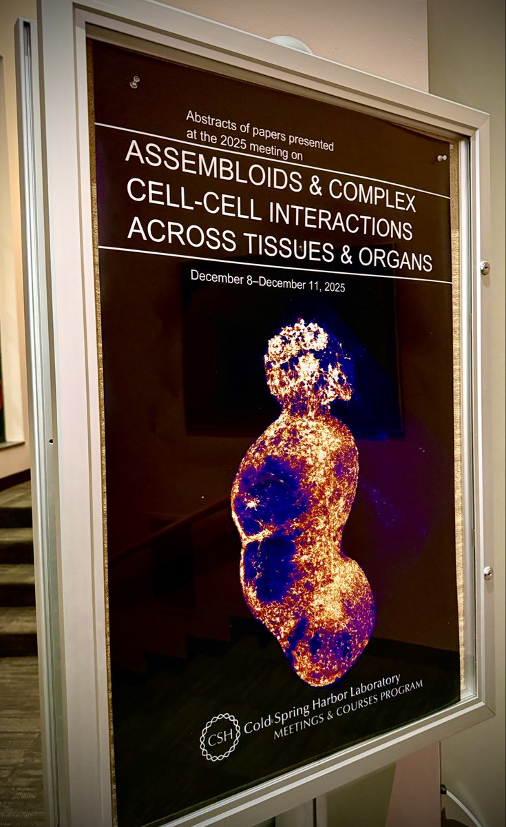 Sergiu P. Pasca tweet media