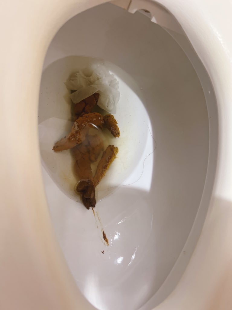 めっちゃいいうんち出た