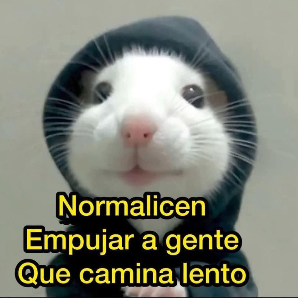 En Júpiter (@en_jupiter_) on Twitter photo 