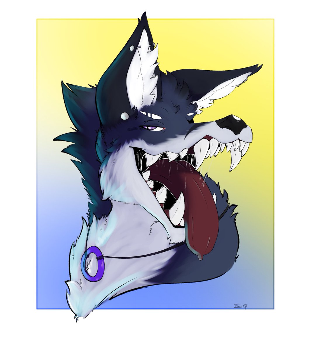 Zef🔜FWA tweet media