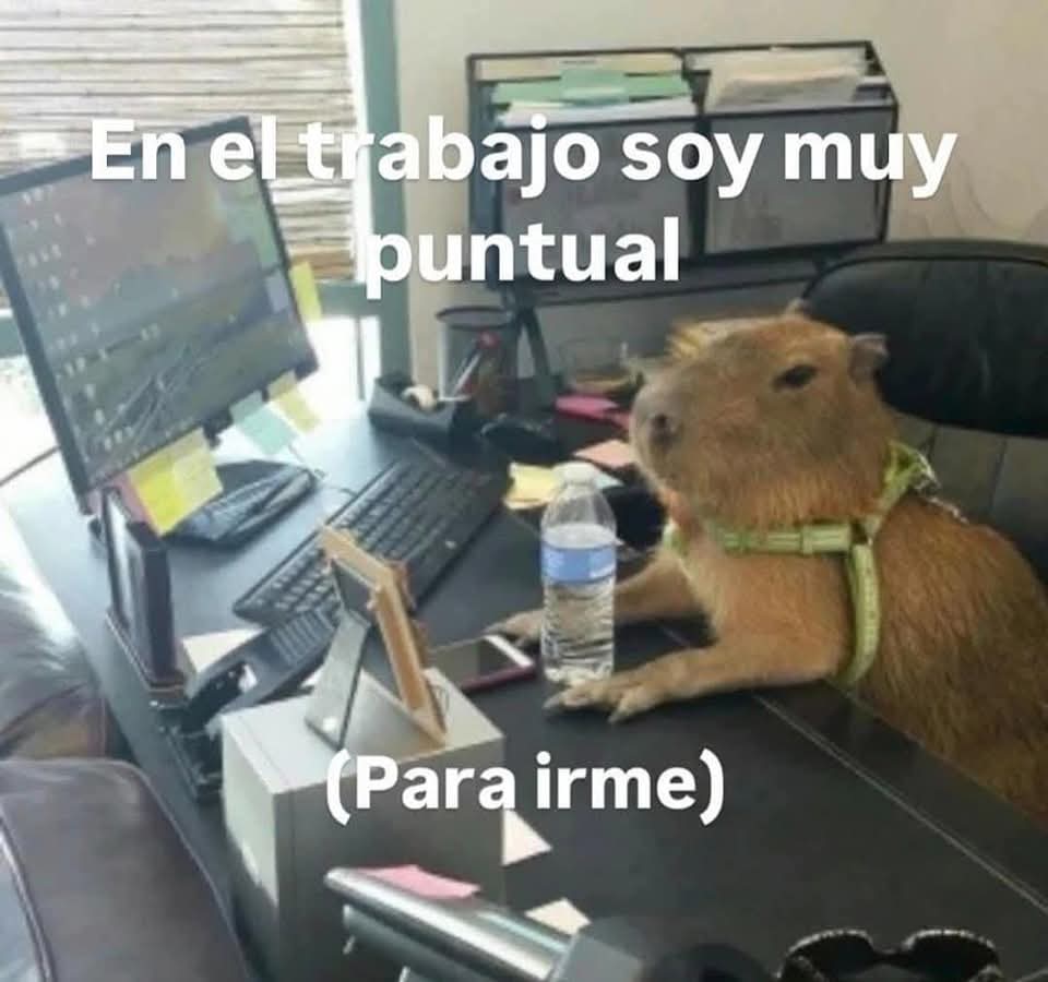 En_jupiter_'s tweet image. 