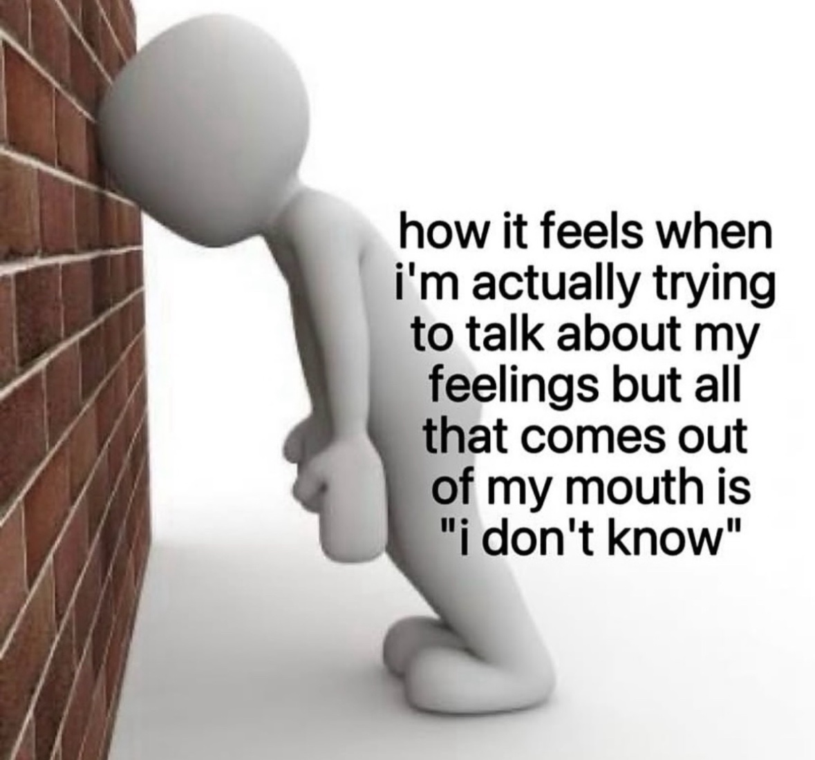 RespectfulMemes's tweet image. 