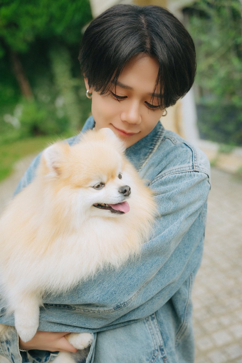 月刊わんこ編集部 tweet media