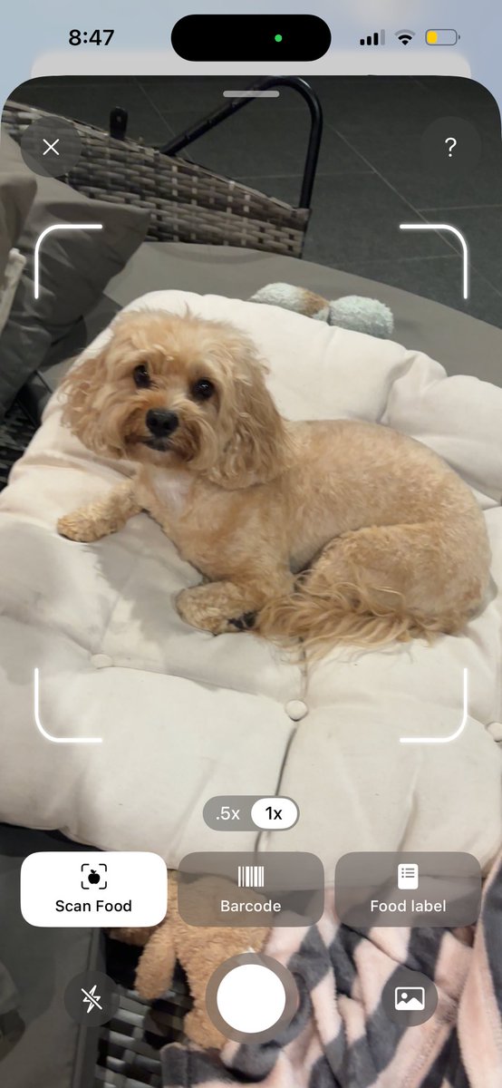 Anthony Biscotto tweet media