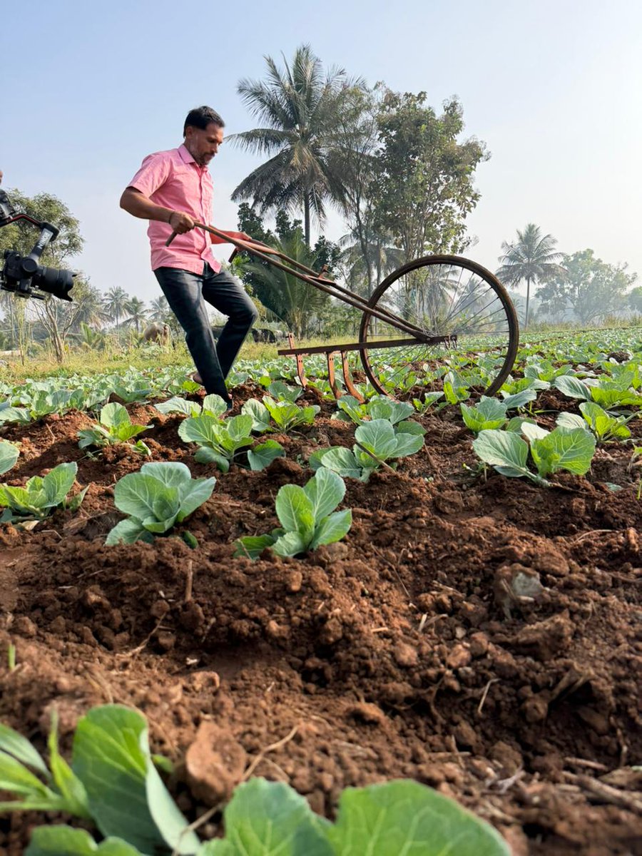 NewsPotliEng's tweet photo. Team @PotliNews  reaches Mandya, #Bengaluru  #Karnataka ;a region enriched by the Kaveri River and known for its leading  sugarcane, coconuts, and top-quality vegetables.
Watch  our exclusive #groundreports showcasing India’s agricultural strength soon on #NewsPotli
#agriculture https://t.co/By41GUabht