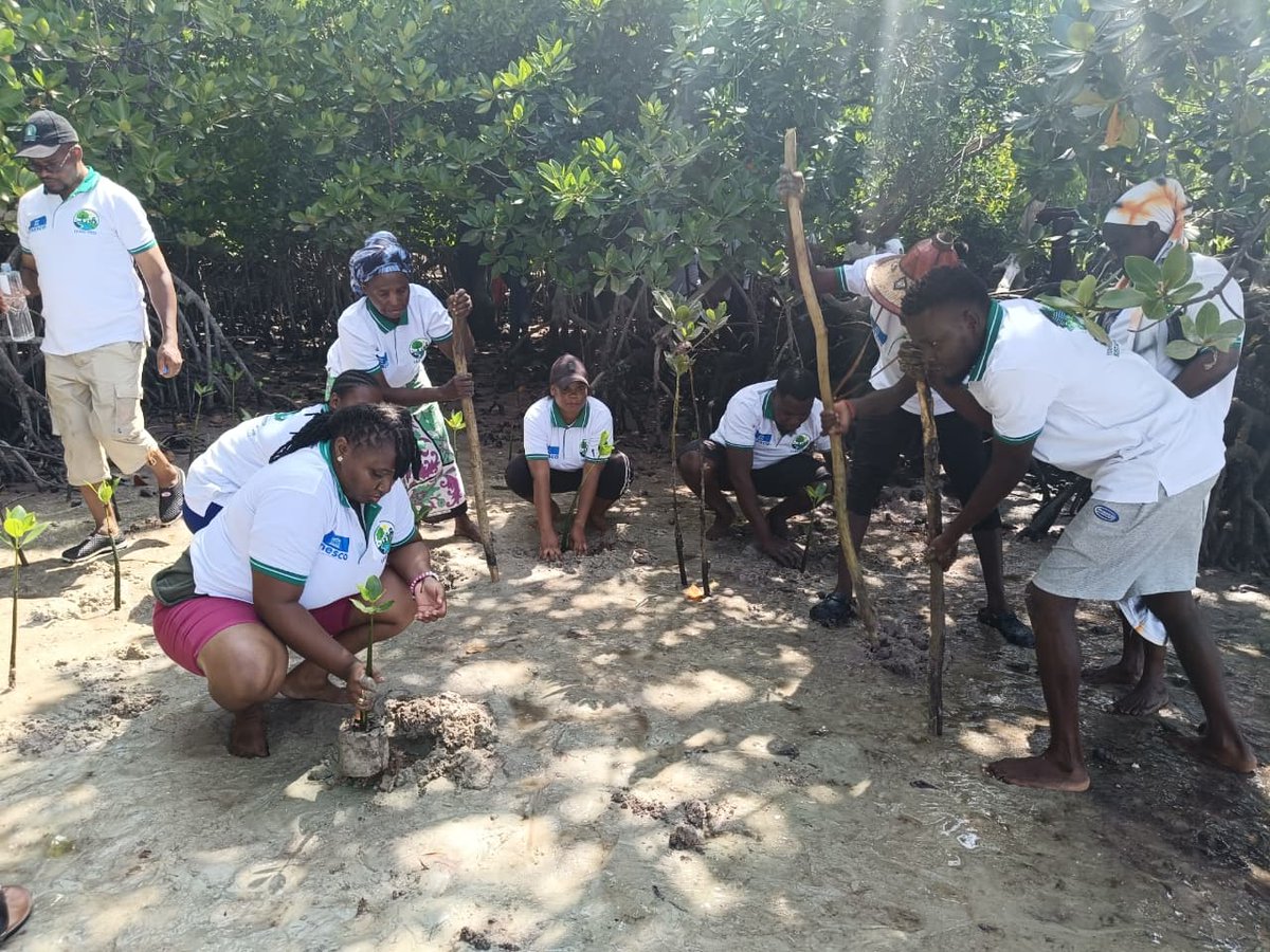 Shella Environmental Youth Group tweet media