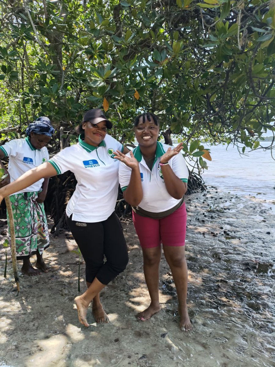 Shella Environmental Youth Group tweet media