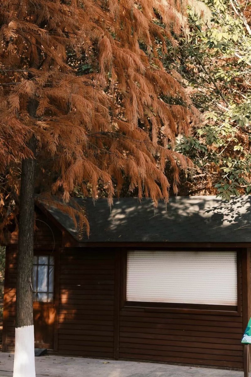 H tweet media
