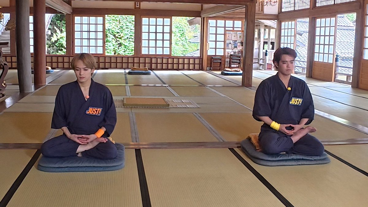 メタボな黃トラさんとダックスのカップル、揚げものが好き！ 楽天市場】【お取り寄せ】ワオ ビッグ ダッキー トーイングチューブ 3