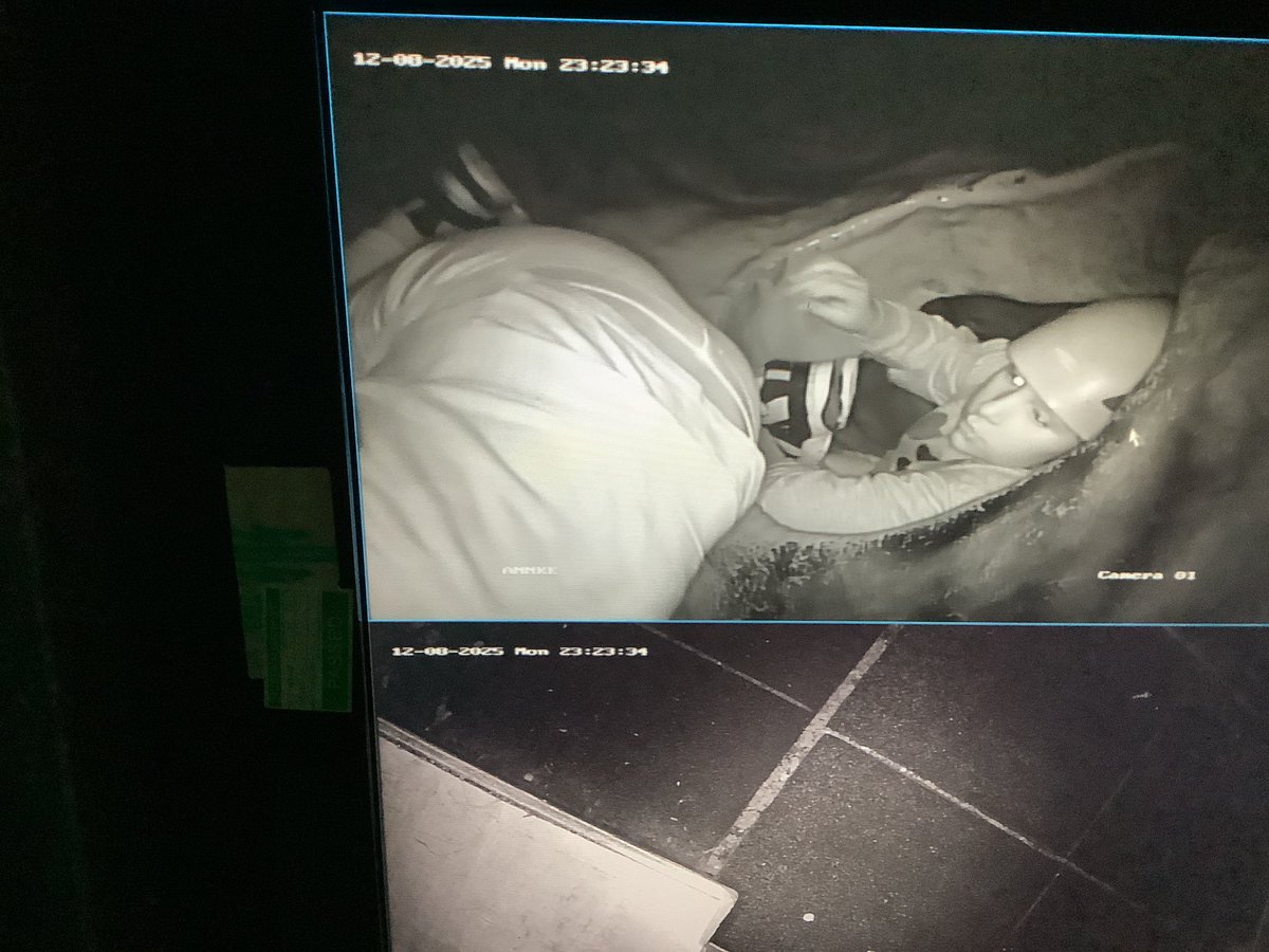 Millhouse Primary (@millhouseschool) on Twitter photo 