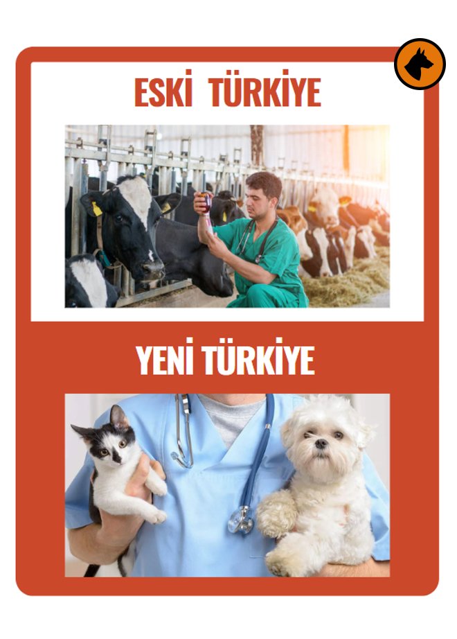 İşinin ehli gerçek veteriner hekimler için yapacak iş çok, keyifleri de yerinde.

🔴 Sahte faturalarla kolay paraya alışmış pati-vetler ise ağlıyor. 

▶️ Üretime hiçbir katkısı olmayan, 3-5 bin kişinin işsiz kalması kimin umurunda olur ki? 

Easy-money devri bitti!