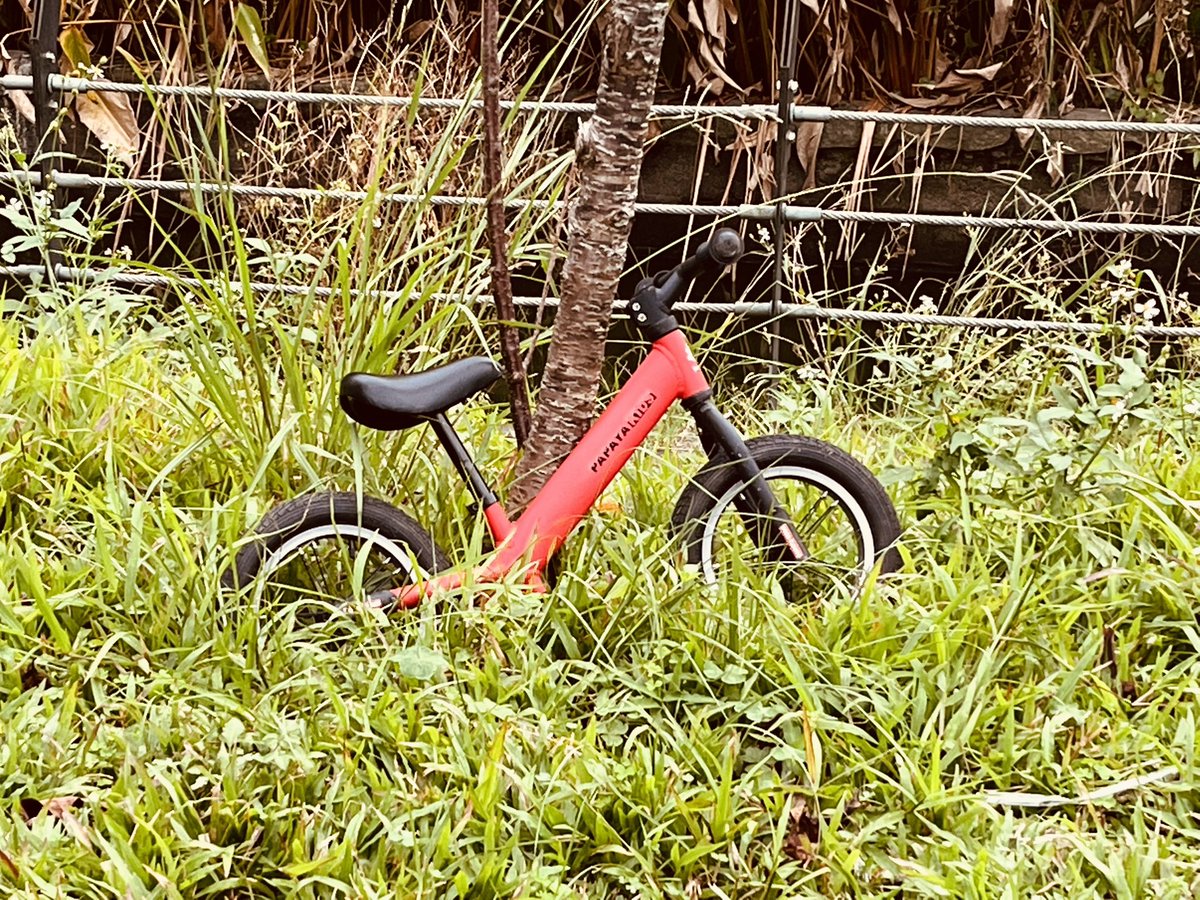 EASY SHEN イージー・シェン (@easy_shen) on Twitter photo 