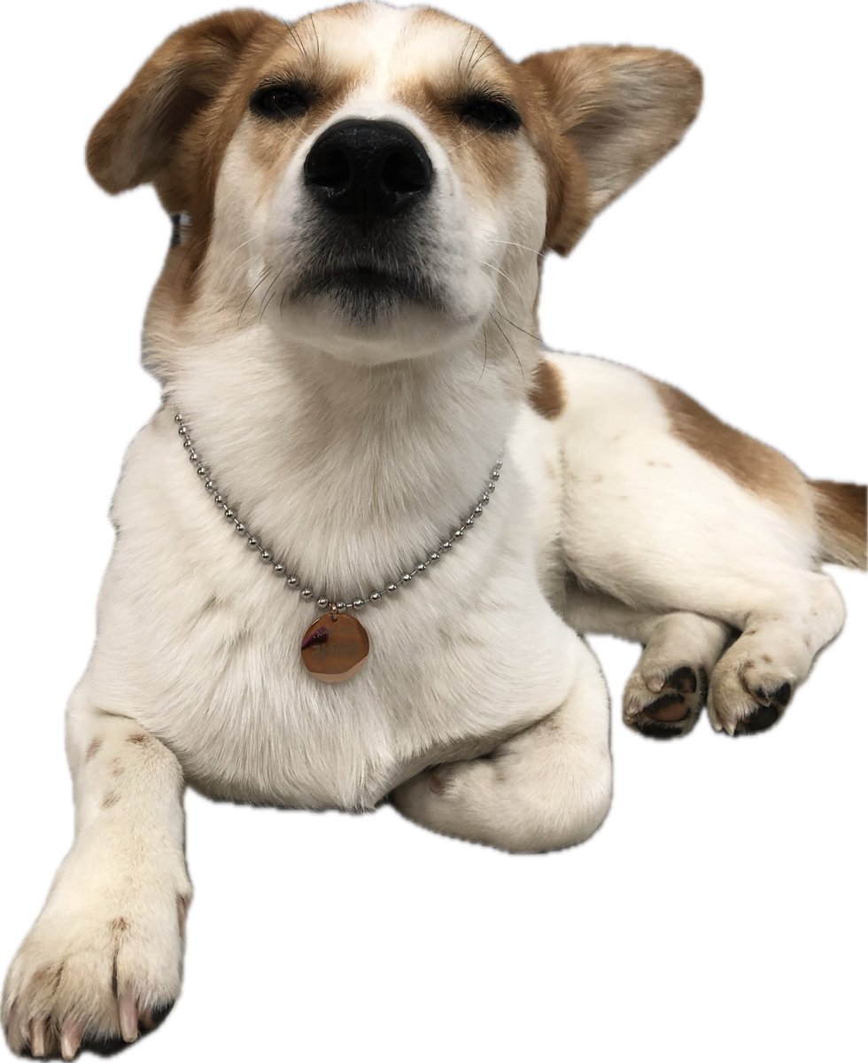 퇴근 시켜 죠라