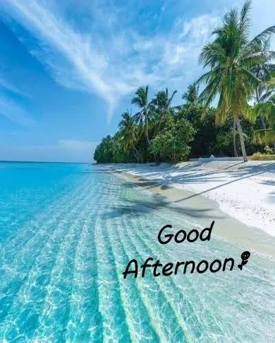 गुड आफ्टरनून! ☀️✨
दोपहर की ये नरम धूप आपके दिन में नई ऊर्जा भर दे। 🌿💛
कुछ पल आराम करें, मुस्कुराएँ 😊 और अपने मन को थोड़ा सा ताज़ा हवा दें। 🍃💫
आपका आगे का दिन खुशियों, पॉज़िटिविटी और तरक्की से भरा रहे! 🌼🌈🤗