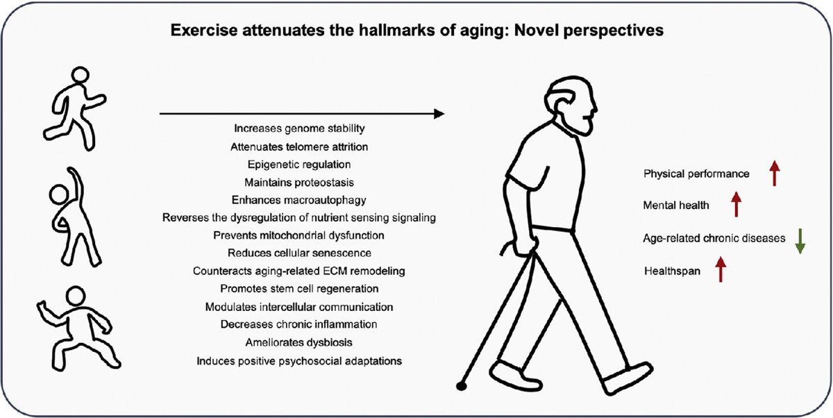 Klāvs Ēvelis tweet media