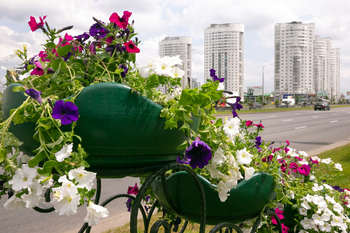 Беларусь в Молдове tweet media