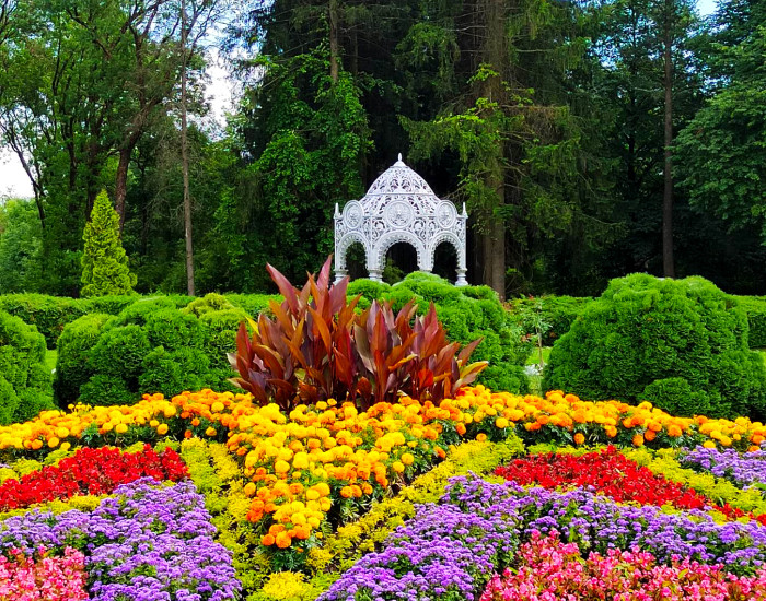 Беларусь в Молдове tweet media