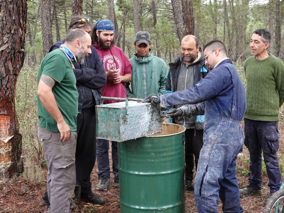 Rewilding Spain Oficial tweet media