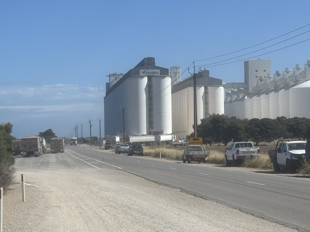 Harvest must be alright around the Port Gilies area on the Yorke Peninsula, about a dozen trucks waiting to get into being weighed plus plenty of onsite waiting to unload.