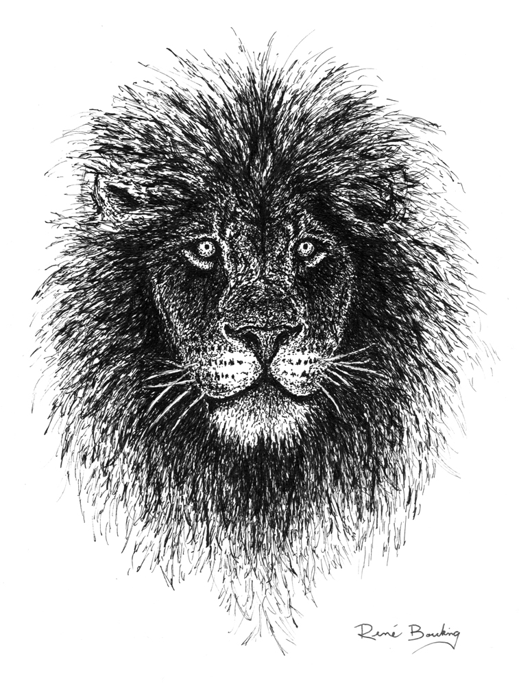 explorewithrene's tweet image. I drew this lion for an 80th birthday milestone.
Growth doesn’t slow with age. Wisdom and courage sharpen.
Keep growing and keep roaring.

#Art #KeepGrowing #Leadership