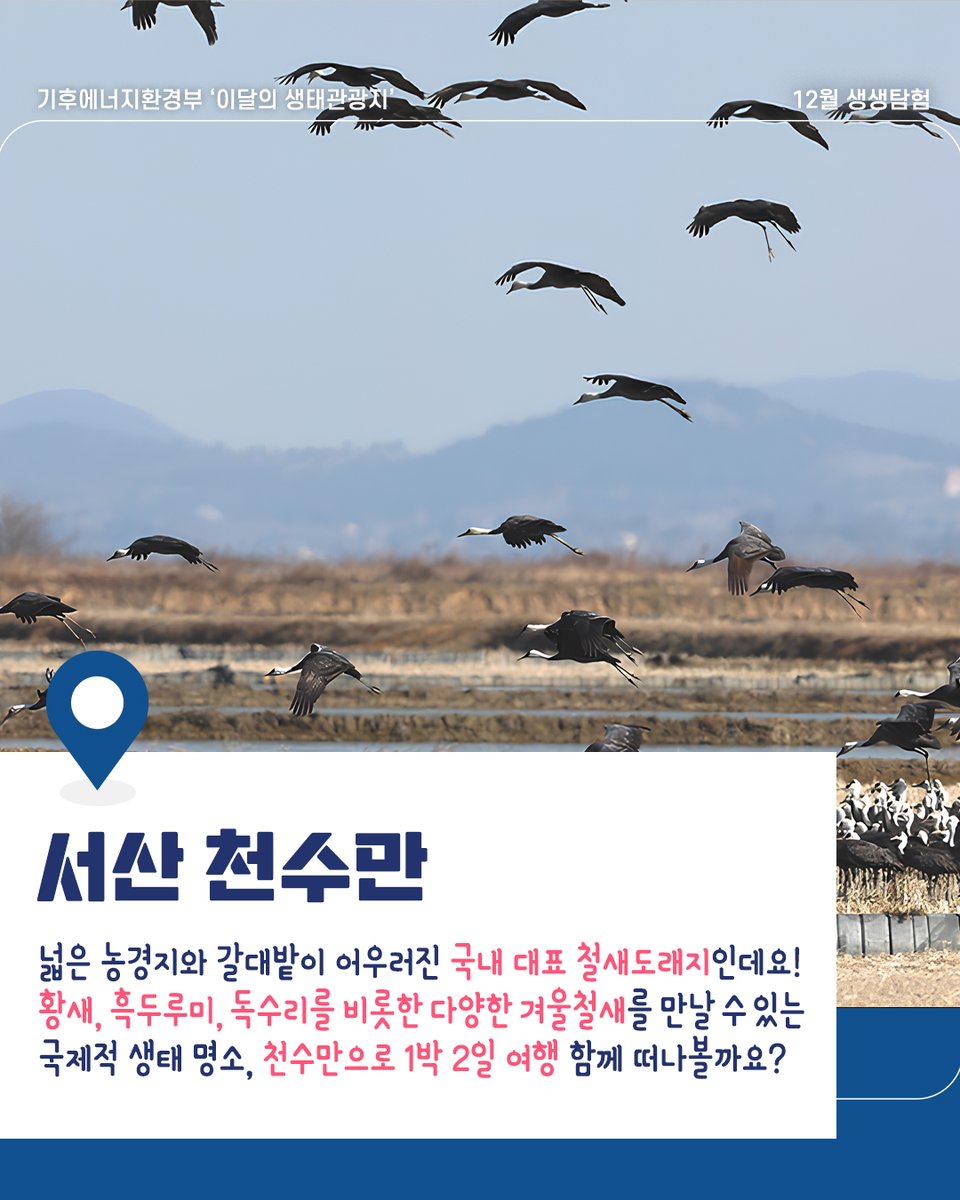 nibr_bio's tweet photo. 🌿12월 기후에너지환경부 생태관광지🌿
‘하늘과 땅이 만나는 철새들의 천국’
🐦충남 서산 천수만 철새도래지로 떠나볼까요?
.
황새, 흑두루미, 독수리 등 
다양한 철새가 찾는 생태지역으로,
겨울이면 멸종위기종을 포함한 철새들의 장관이 펼쳐진답니다!
.
📌자세한 여행코스는 카드뉴스에서 확인해 보세요 :)
.
🌟1박 2일 추천 여행 코스🌟
1️⃣일차[살아 있는 역사와 함께 서해 일몰 풍경 보며 산책하기]
해미읍성 → 부석사 → 숙박
.
2️⃣일차[철새 관찰 후, 신비로운 노을 감상하기]
서산버드랜드 → 간월도 마을→ 간월암
.
오늘 알아본 ‘서산 천수만 철새도래지’ 이야기가 더 궁금하다면?
👉https://t.co/RfItmVg6uI
.
#국립생물자원관 #nibr #생생탐험 #기후에너지환경부 #생태관광지 #관광 #12월여행 #12월여행지 #여행지추천 #서산 #충남여행추천 #노을스팟 #천수만여행 #1박2일여행 #겨울여행지 #서해노을 #서해바다추천 #겨울철새 #12월국내여행코스 #국내여행