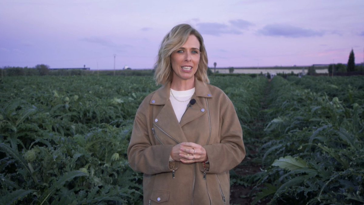 Buen prime time de <a href="/apunt_media/">À Punt</a> con #ALaSaca al registrar un 6.3% de share y una media de 93.000 espectadores

➡️ Después, <a href="/zoomAPunt/">ZOOM À Punt</a> alcanza un 5.2% de share y una media de 57.000 espectadores

#QueVivaLaTele #Audiencias