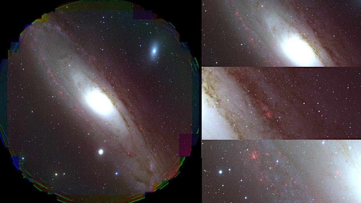 なれのは てぃ @スタジオ向日葵 (@mimick7) / Posts / X