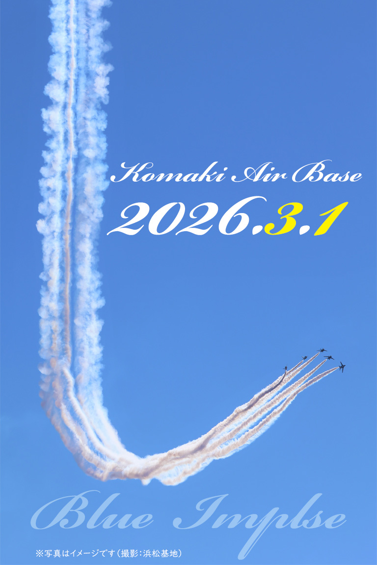 fly_o.s (@fly_os787) / Posts / X