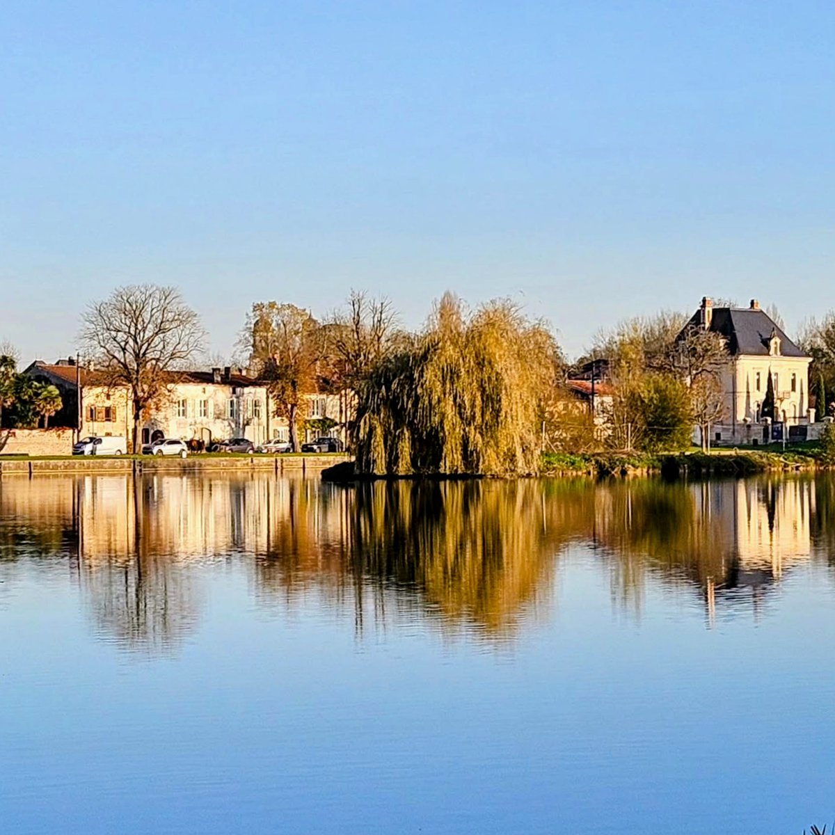 mazmcm's tweet image. Morning reflections