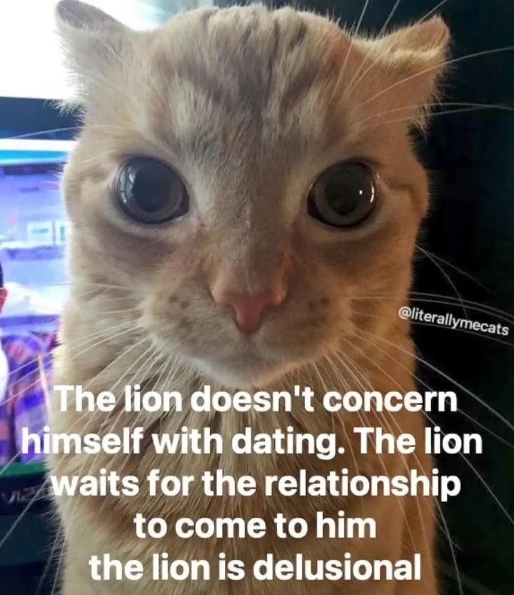 nocontextmemes's tweet image. 