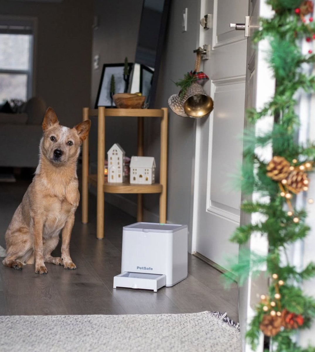 PetSafe® France tweet media