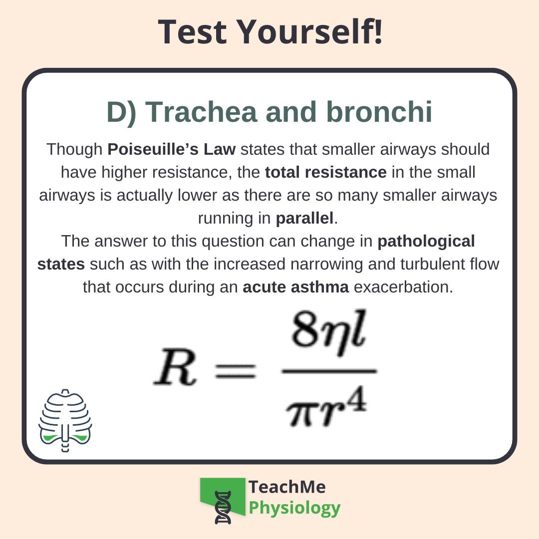 Did you get it right? ✅
Want to learn more about air flow in the respiratory system? 🤓

Check out our article on Airway Resistance
shorturl.at/XSCTG

#TeachMePhysiology #physiology #education