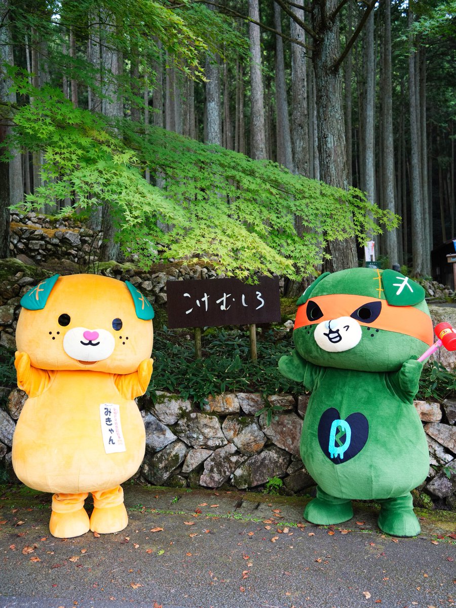 みきゃん【公式】《愛媛県イメージアップキャラクター》 (@micanehime