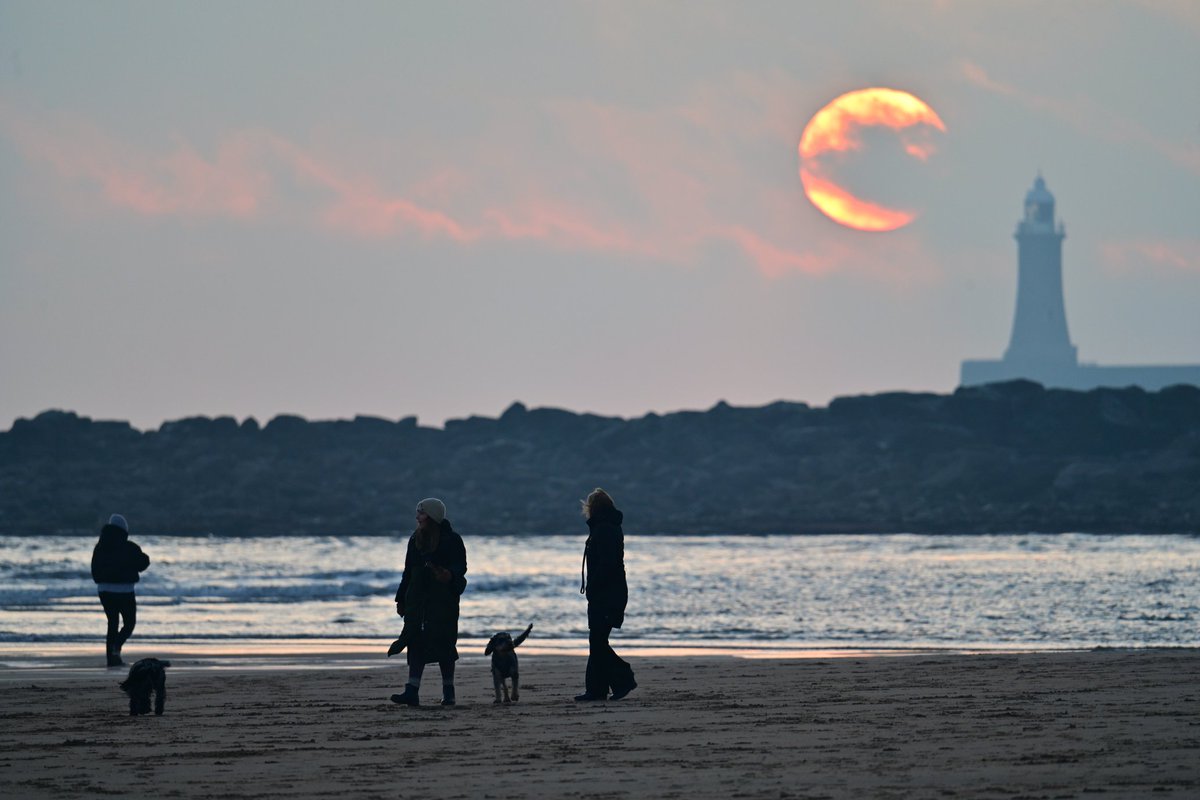 Keith Fenwick tweet media