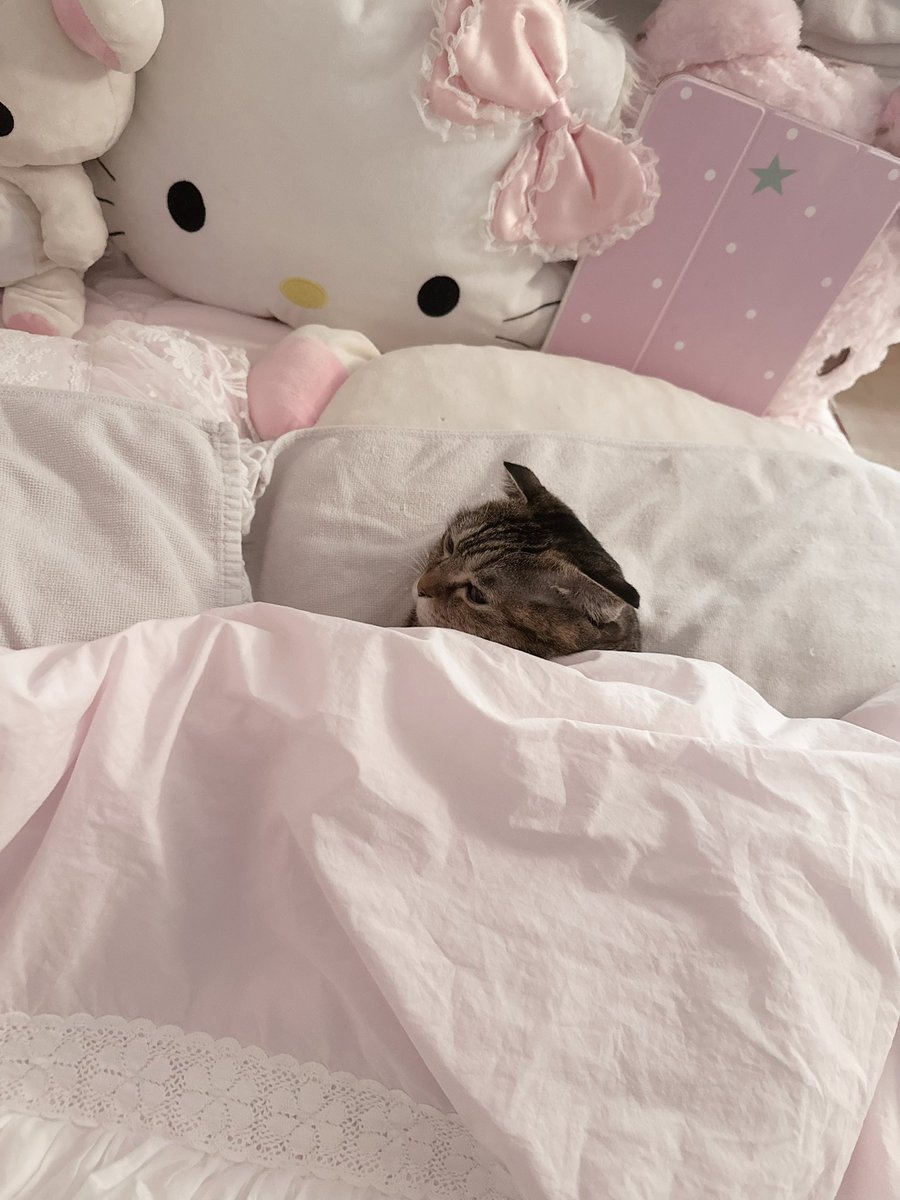 온수매트의 효과
포근공주님이 되심..༼˵˃̶̀ɷ˂̶́˵༽ ෆ⃛