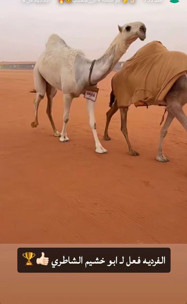فعل 🔥🔥🔥🔥🔥