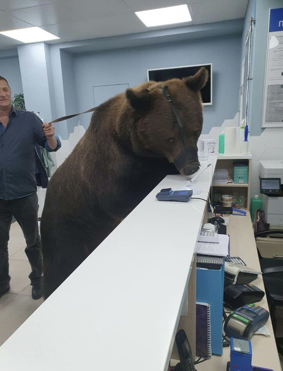 ตามติดชีวิตAnimal tweet media