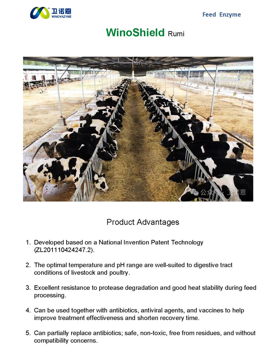 robynwinovazyme's tweet image. 💡 New Product Launch — WinoShield Rumi 

Stronger Rumen, Stronger Return.

Guarding cattle and sheep from toxins and trouble,
Boosting health and performance, always on the double.

Composition: Glucose Oxidase
#RuminantNutrition #RumenHealth #Mycotoxin #GlucoseOxidase