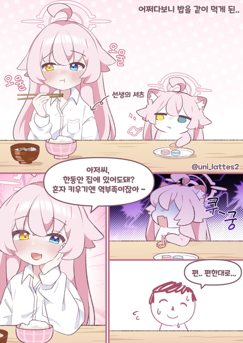 라떼쨩 ラテちゃん 12코 BR 25-27 /@C107(火)東ヨ-19b (@uni_lattes2