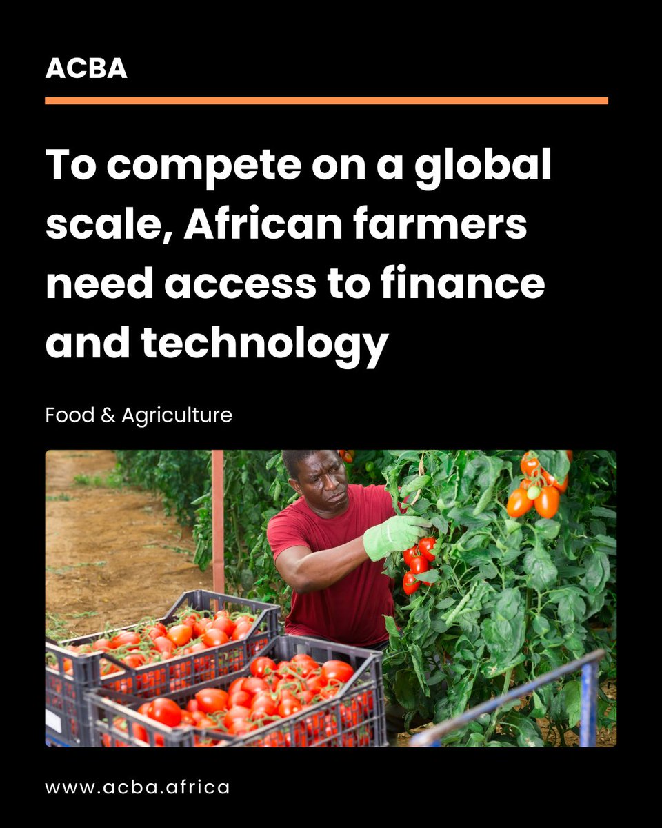 ACBA_HQ's tweet photo. Many smallholder farmers struggle to afford seeds, fertilizers, or mechanization tools. Without access to credit or digital platforms, they remain excluded from competitive markets. Unlocking agricultural finance &amp; supporting tech adoption can empower farmers to scale production https://t.co/k35qx269zv