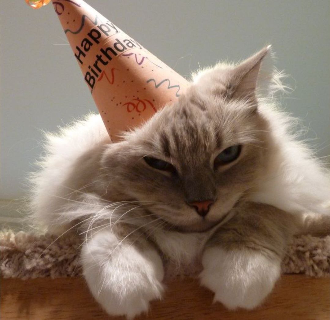 #адмінпост

<a href="/katia_kov/">Katarinco 🇺🇦</a>, Катю, з Днем народження тебе
🎉

Бажаємо натхнення, сил, часу та спокою. 
Нехай у твоєму житті завжди знаходиться місце для маленьких радощів: випадкових усмішок, смачної ранкової кави, затишних обіймів і людей, поруч із якими хочеться бути собою.